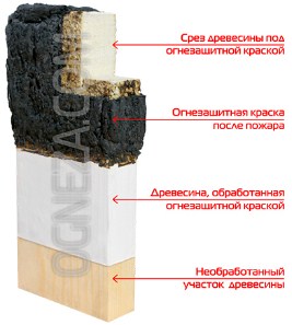Огнезащитная обработка деревянных конструкций: защитные составы, пропитки и нормативные документы