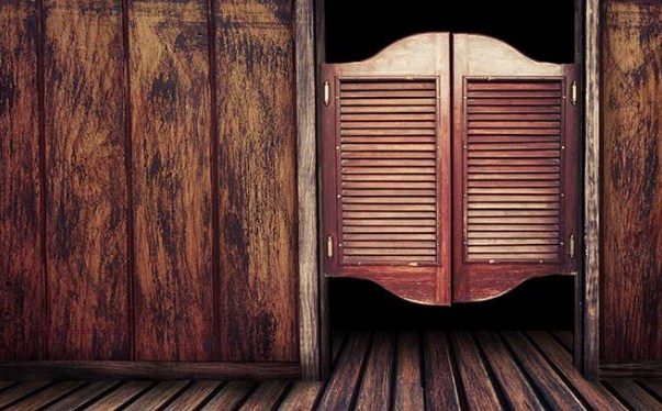 Виды деревянных строительных дверей: радиусные, маятниковые, щитовые и их особенности