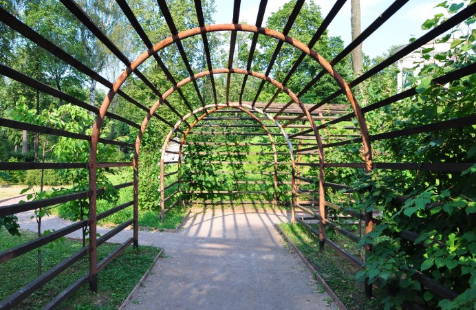 Деревянная садовая арка своими руками: процесс изготовления с фото и .