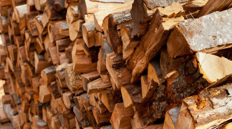 Правила заготовки дров для бани. Какие дрова выбрать?