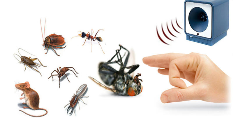 Выбираем ультразвуковой отпугиватель для борьбы с грызунами и насекомыми