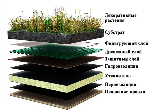 Экстенсивное озеленение – газон на крыше