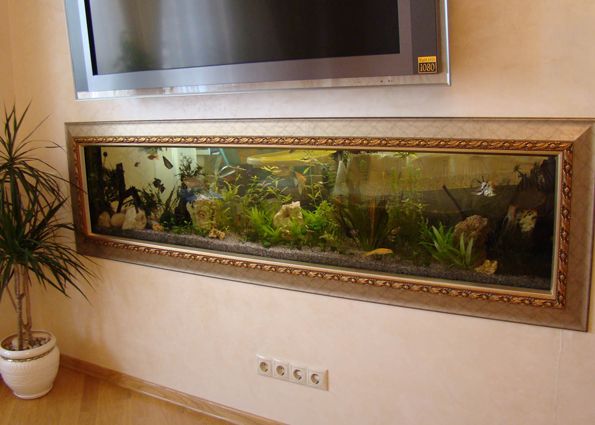 Дно морское на… стене: настенные и встроенные в стену аквариумы (фото)