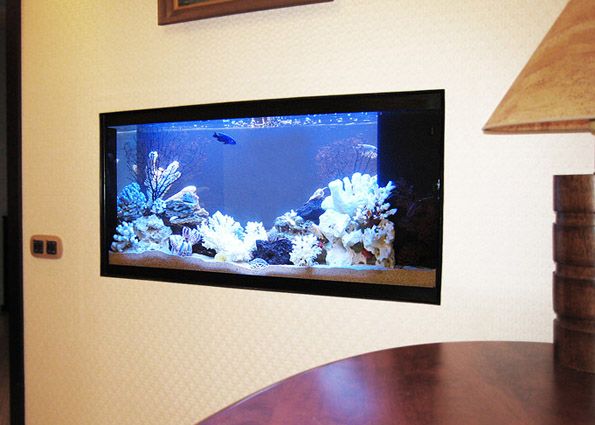 Дно морское на… стене: настенные и встроенные в стену аквариумы (фото)