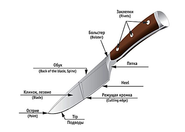 Выбираем хороший кухонный нож. Виды кухонных ножей