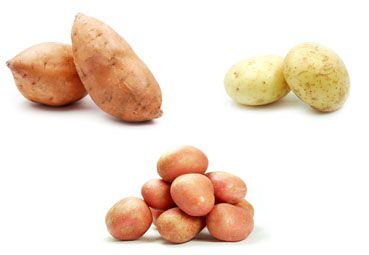 Дачные заботы: как вырастить хороший урожай картофеля